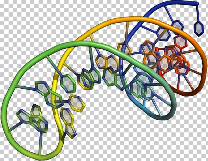 Oligonucleotide Synthesis DNA Nucleobase RNA PNG, Clipart, Area, Base, Bicycle Wheel, Biology, Chemical Compound Free PNG Download