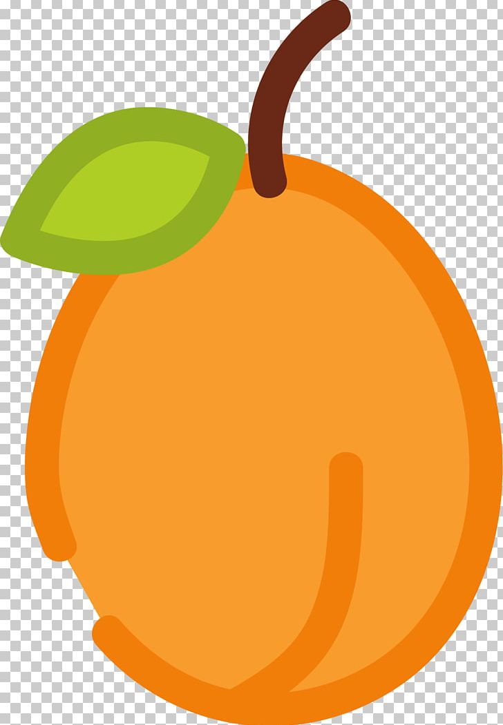 Peach Drawing PNG, Clipart, Apple, Calabaza, Cartoon, Citrus, Color Free PNG Download