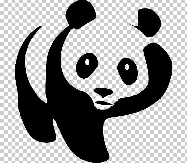 The Giant Panda Bear PNG, Clipart, Animals, Art, Artwork, Bear, Black Free PNG Download