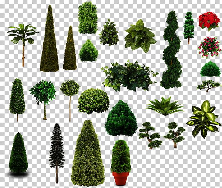 Tree PNG, Clipart, Biome, Christmas Decoration, Christmas Ornament, Christmas Tree, Conifer Free PNG Download