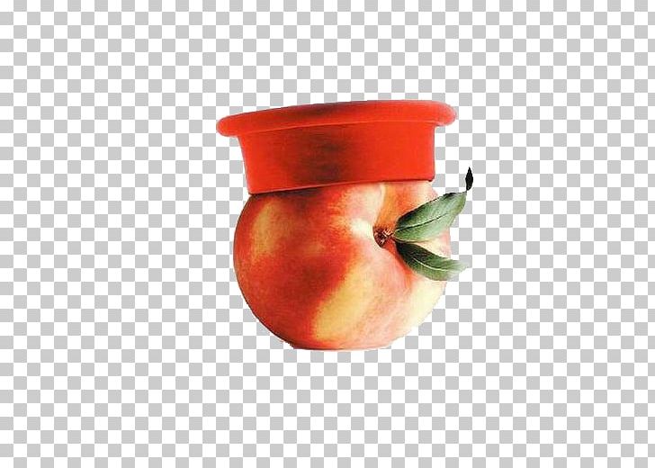 Cavour Esselunga Advertising Supermarket Grapefruit PNG, Clipart, Advertising, Apple, Apple Fruit, Apple Logo, Apples Free PNG Download