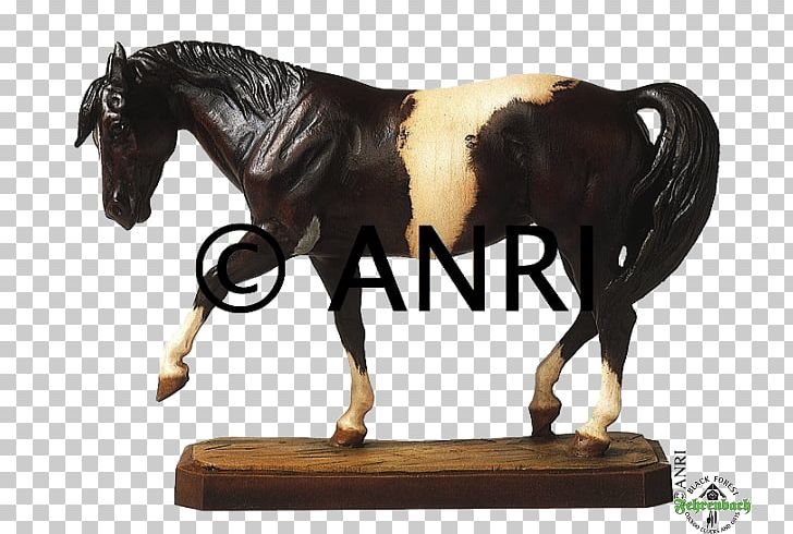 Stallion Mustang Mare Halter Pony PNG, Clipart, American Miniature Horse, Bridle, Figurine, Halter, Horse Free PNG Download