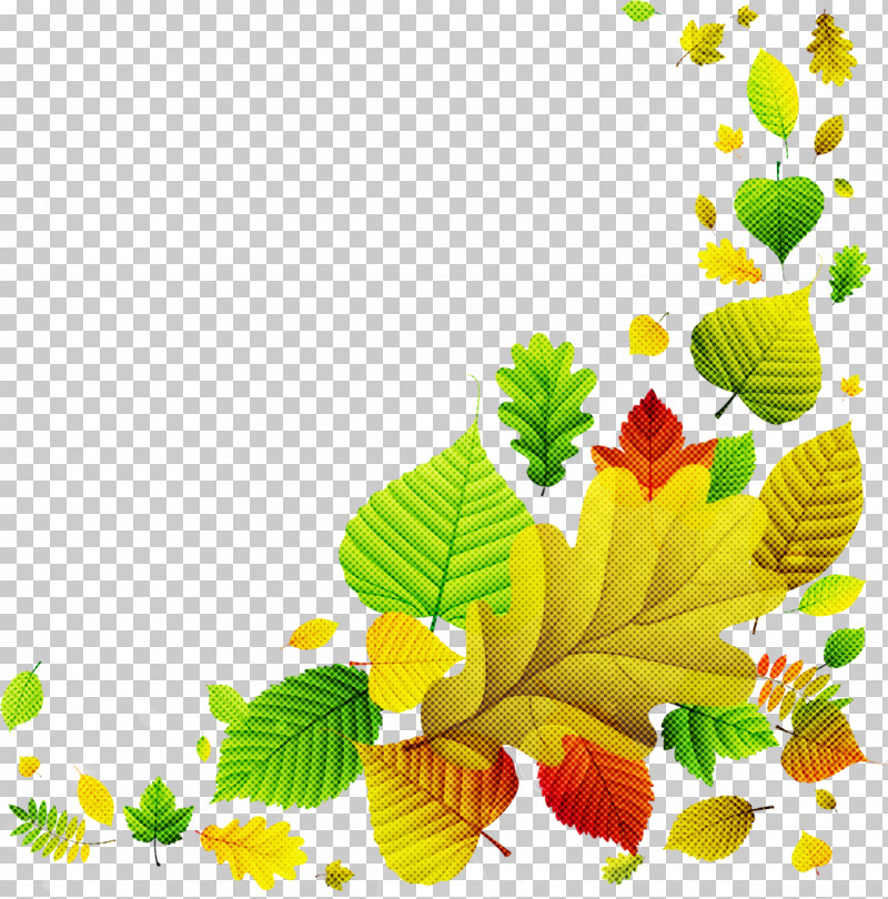 Leaf Yellow Plant Flower Tree PNG, Clipart, Branch, Flower, Leaf, Plant, Tree Free PNG Download