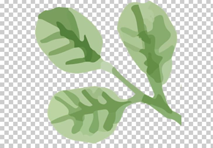 Earring Leaf Jewellery Glass Plant Stem PNG, Clipart, Blog, Blume, Crop, Dana, Earring Free PNG Download