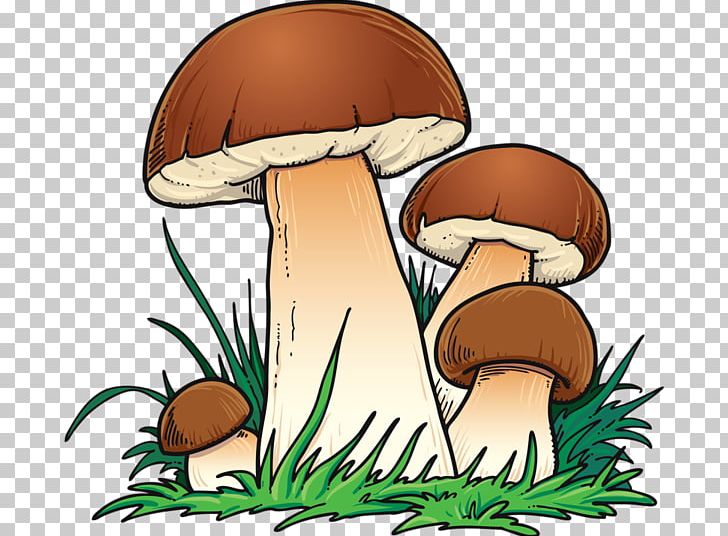 Graphics Mushroom Design PNG, Clipart, Cartoon, Download, Edible Mushroom, Food, Fungus Free PNG Download