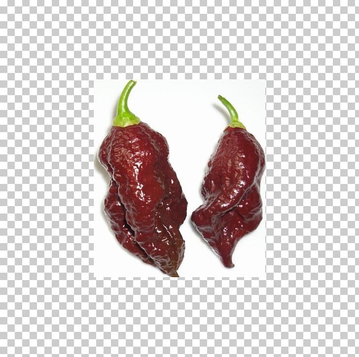 Habanero Bhut Jolokia Chili Pepper Scoville Unit Capsicum Annuum PNG, Clipart, Bhut Jolokia, Cayenne Pepper, Chili Pepper, Food, Fruit Free PNG Download