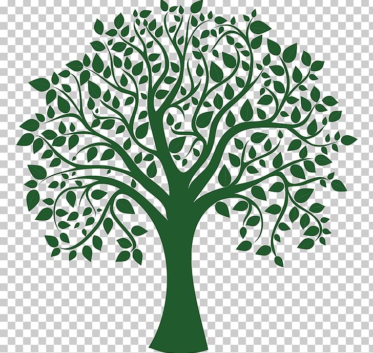 Tree Drawing PNG, Clipart, Art, Art Green, Book, Branch, Clip Art Free PNG Download
