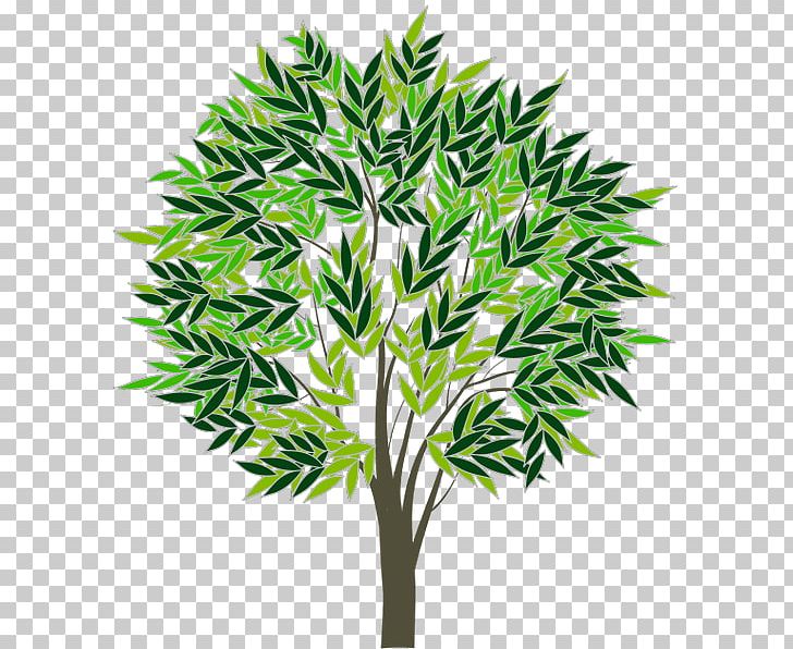 Tree Idea Christmas Gift-bringer PNG, Clipart, Arecales, Borassus Flabellifer, Branch, Christmas, Christmas Giftbringer Free PNG Download