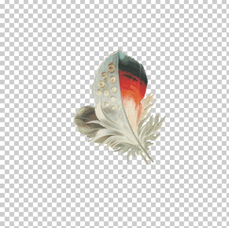 Feather Animation PNG, Clipart, Adatformxe1tum, Animals, Animation, Bird, Blog Free PNG Download