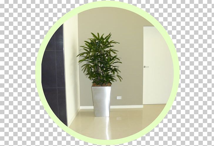 Flowerpot Workplace Houseplant Indoor Air Quality Herb PNG, Clipart, Air Pollution, Flowerpot, Herb, Houseplant, Indoor Air Quality Free PNG Download