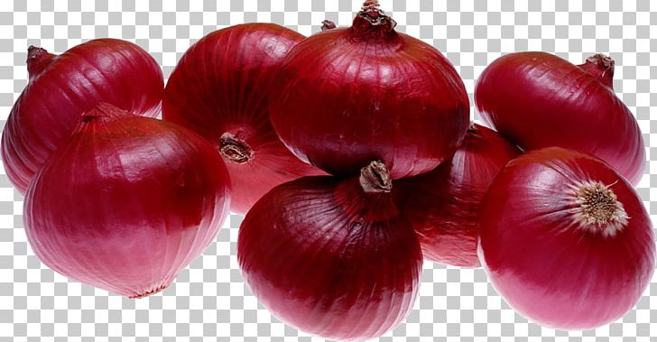 India Red Onion French Onion Soup Organic Food PNG, Clipart, Cultivar, Export, Food, French Onion Soup, Fruit Free PNG Download