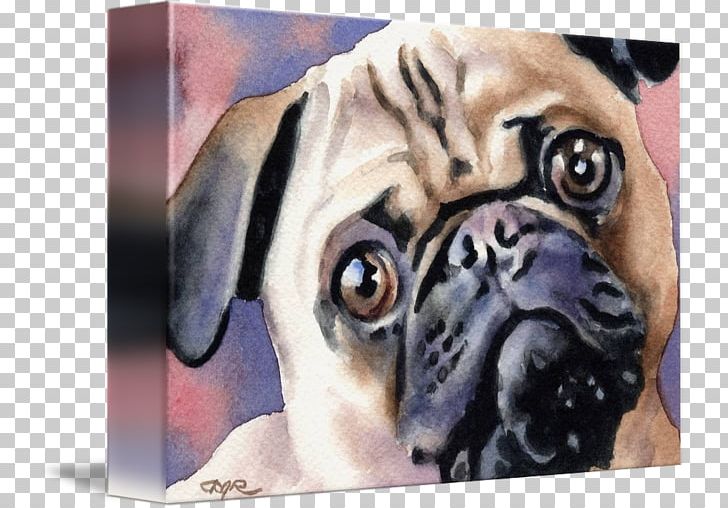 Pug Dog Breed Toy Dog Puppy Gallery Wrap PNG, Clipart, Animals, Art, Breed, Canvas, Carnivoran Free PNG Download
