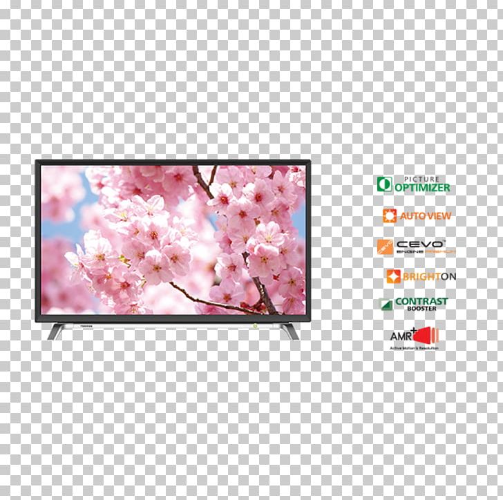 Smart TV Toshiba LED-backlit LCD 1080p Television PNG, Clipart, 4k Resolution, 1080p, Advertising, Blossom, Cherry Blossom Free PNG Download