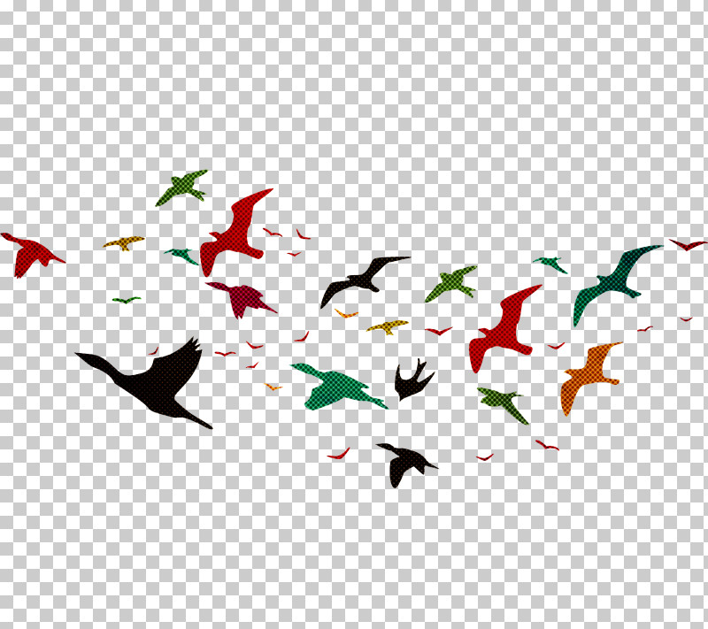 October PNG, Clipart, Anons, Beak, Biology, Birds, Deprecated Library Free PNG Download