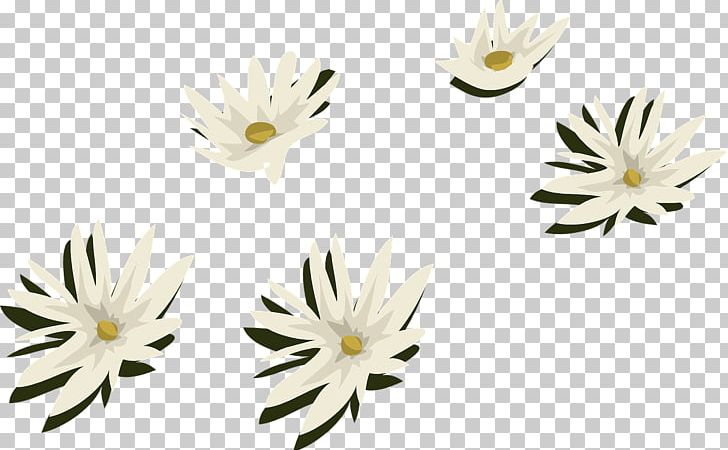 Common Daisy Flower Water Lily Arum-lily Aquatic Plants PNG, Clipart, Aquatic Plants, Arumlily, Chrysanths, Common Daisy, Common Water Hyacinth Free PNG Download