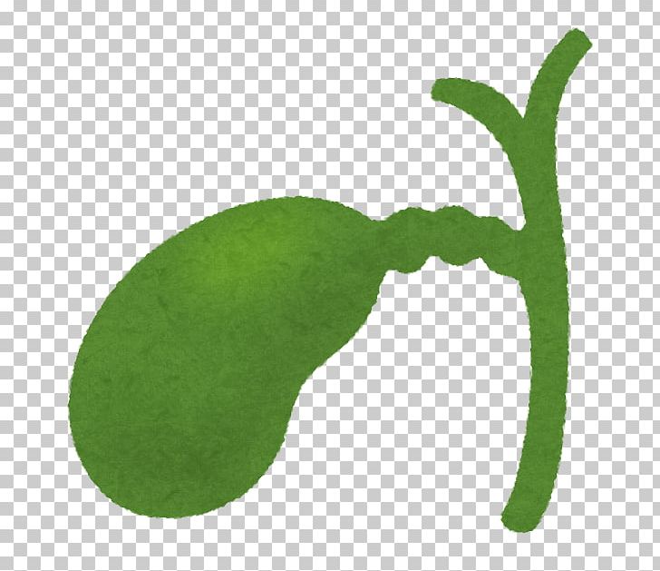 Gallbladder Pancreas Disease Gallstone Liver PNG, Clipart, Bile, Bile Duct, Cholangiocarcinoma, Disease, Duodenum Free PNG Download