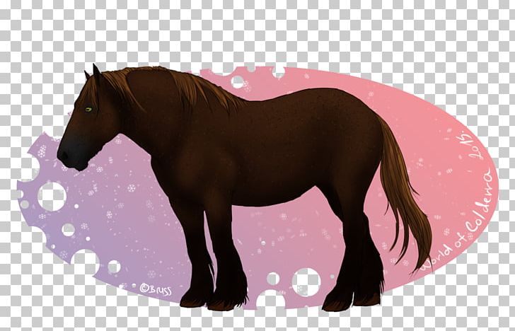 Pony Mustang Mare Stallion Foal PNG, Clipart, Breed, Bridle, Foal, Halter, Horse Free PNG Download