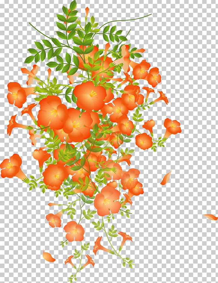 Chinese Trumpet Vine Flower Photography PNG, Clipart, Amorphous Silicon, Black And White, Branch, Bush Tomato, Citrus Free PNG Download