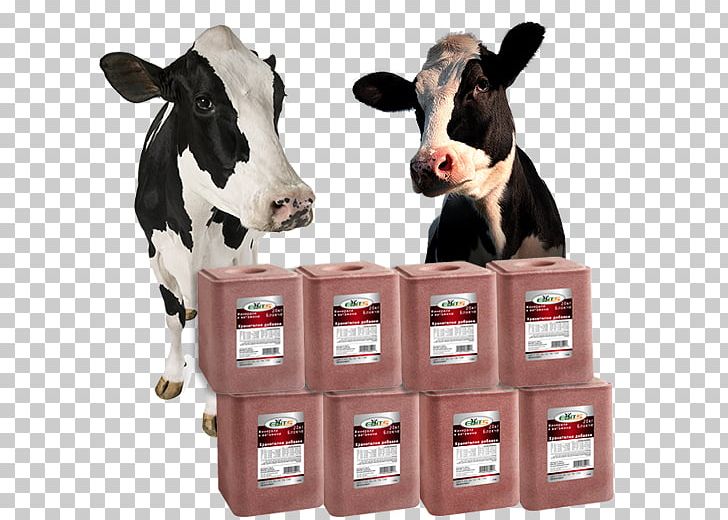 Dairy Cattle Salt Halite PNG, Clipart, Cattle, Cattle Like Mammal, Cow Goat Family, Dairy Cattle, Dairy Cow Free PNG Download