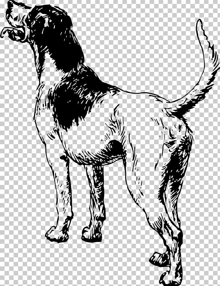 Dog Breed Sporting Group Spaniel PNG, Clipart, Animals, Black And White, Canine, Carnivoran, Clip Art Free PNG Download