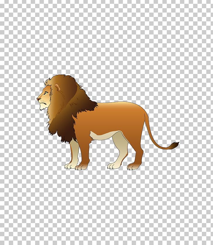 Lion Euclidean Information Illustration PNG, Clipart, Animal, Animals, Big Cats, Carnivoran, Cartoon Free PNG Download