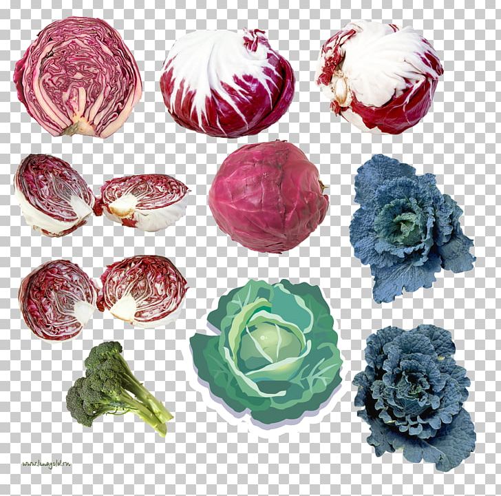 Vegetable Food PNG, Clipart, Archive File, Brassica Oleracea, Cabbage, Cut Flowers, Depositfiles Free PNG Download