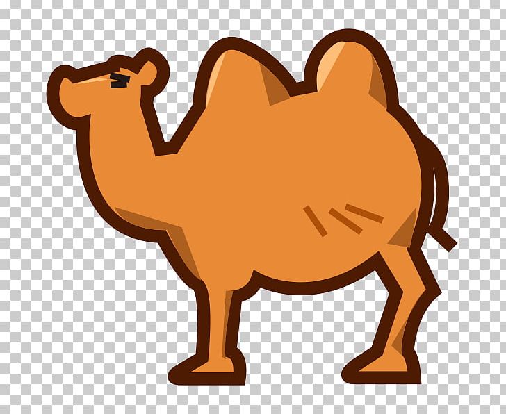 Bactrian Camel Dromedary Milk PNG, Clipart, Animal, Arabian Camel, Bactrian Camel, Beak, Camel Free PNG Download