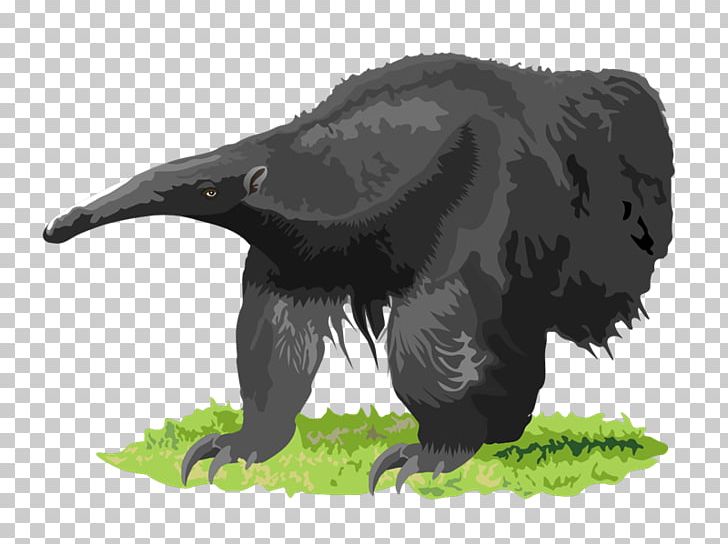 Anteater Southern Tamandua Aardvark PNG, Clipart, Aardvark, Animal, Anteater, Anteater Cliparts, Bear Free PNG Download
