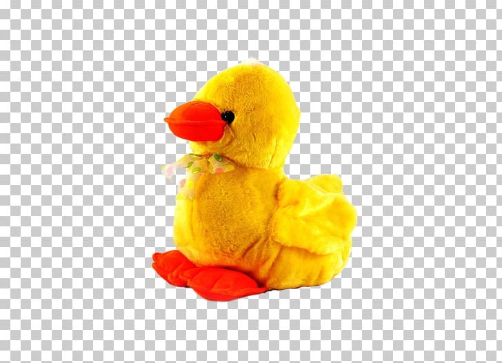 Floppy Duck Stuffed Animals & Cuddly Toys Platypus Plush PNG, Clipart, Amp, Architectural Engineering, Beak, Bird, Cuddly Toys Free PNG Download