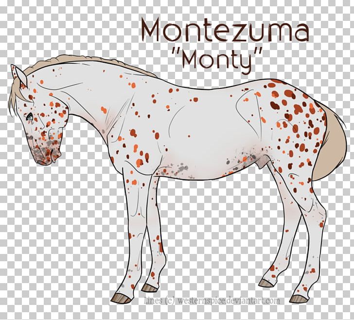 Mule Foal Mare Mustang Stallion PNG, Clipart,  Free PNG Download
