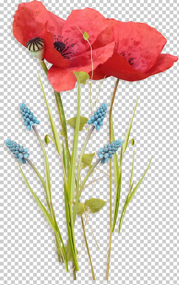 Poppy Flowers PNG, Clipart, Artificial Flower, Common Poppy, Cut Flowers, Decorative Patterns, Flora Free PNG Download
