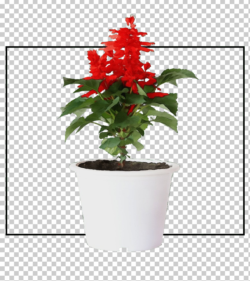 Flower Flowerpot Houseplant Plants Biology PNG, Clipart, Biology, Flower, Flowerpot, Houseplant, Paint Free PNG Download