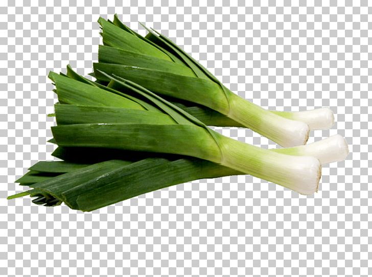 Garlic Leek Vegetable Onion Fruit PNG, Clipart, Cauliflower, Chives, Choy Sum, Condiment, Daikon Free PNG Download