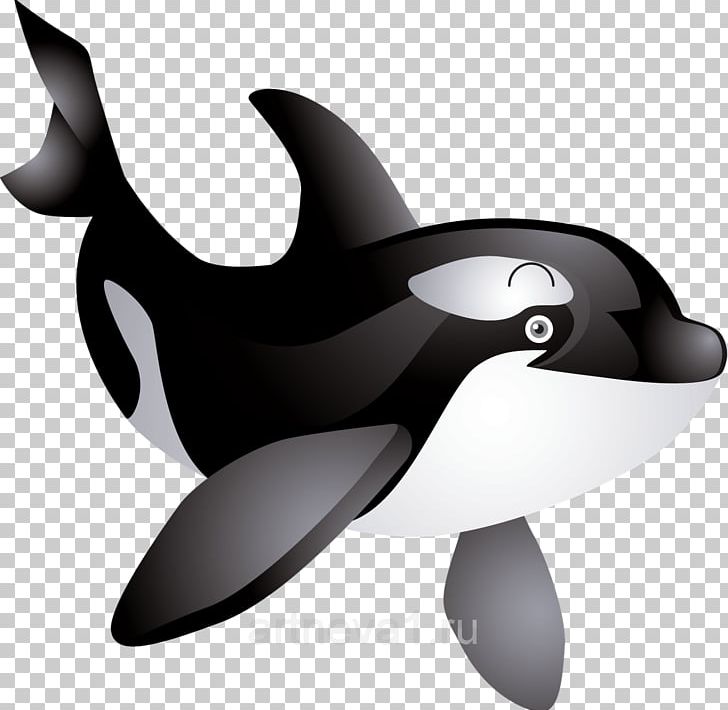 Whale PNG, Clipart, Animals, Black And White, Blue Whale, Cetacea, Desktop Wallpaper Free PNG Download