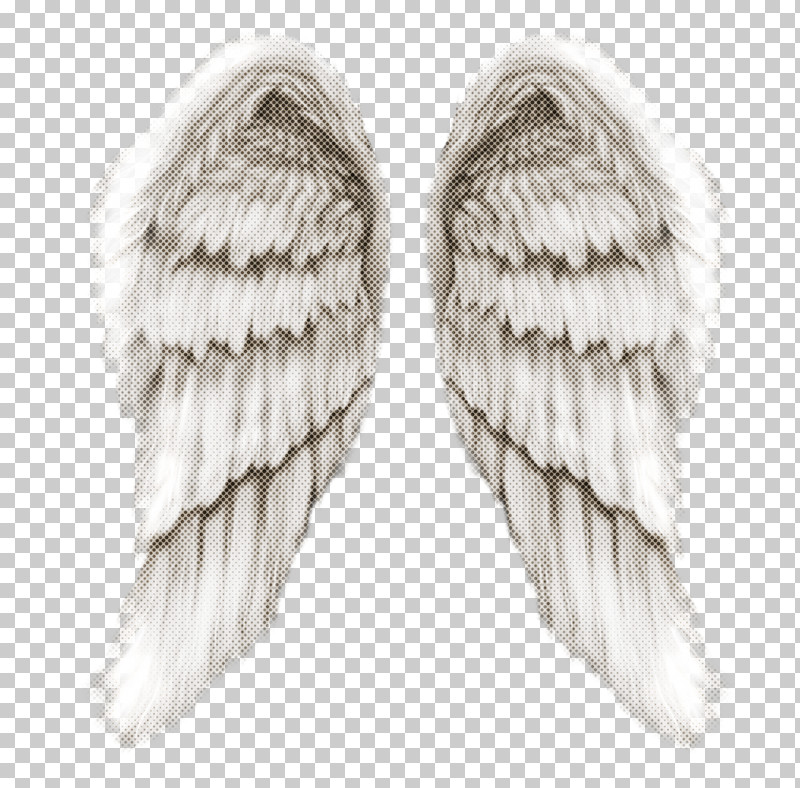 Feather PNG, Clipart, Angel, Earrings, Feather, Fur, Wing Free PNG Download