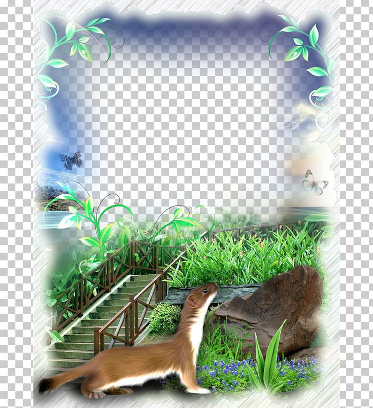 Frame Nature PNG, Clipart, Border Frame, Christmas Frame, Computer Wallpaper, Dream, Ecosystem Free PNG Download