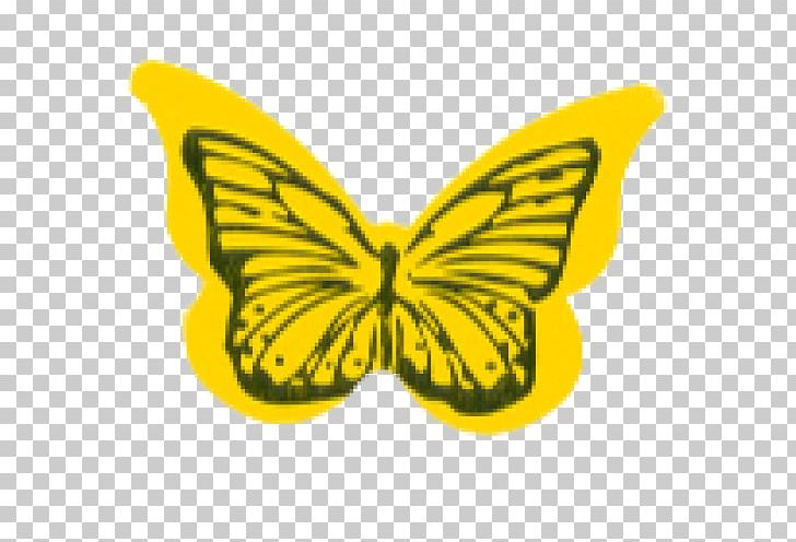 Sun Tanning Monarch Butterfly Sticker Tattoo Indoor Tanning PNG, Clipart, Body, Brush Footed Butterfly, Butterfly, Decal, Indoor Tanning Free PNG Download
