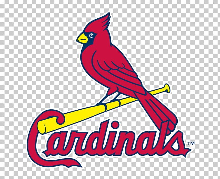 St. Louis Cardinals MLB Busch Stadium Cincinnati Reds Minnesota Twins PNG, Clipart, Area, Art, Artwork, Baseball, Beak Free PNG Download