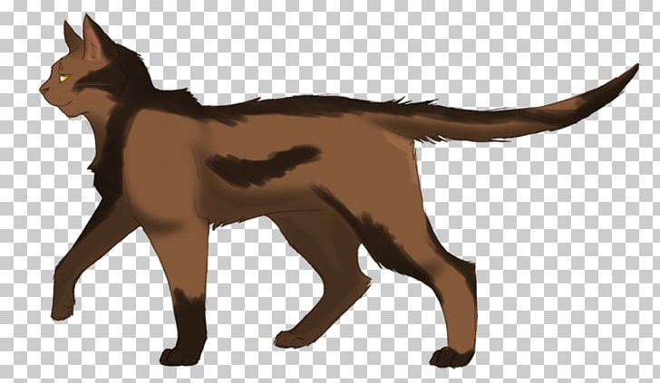 Cat Warriors SkyClan's Destiny Tawnypelt Erin Hunter PNG, Clipart,  Free PNG Download