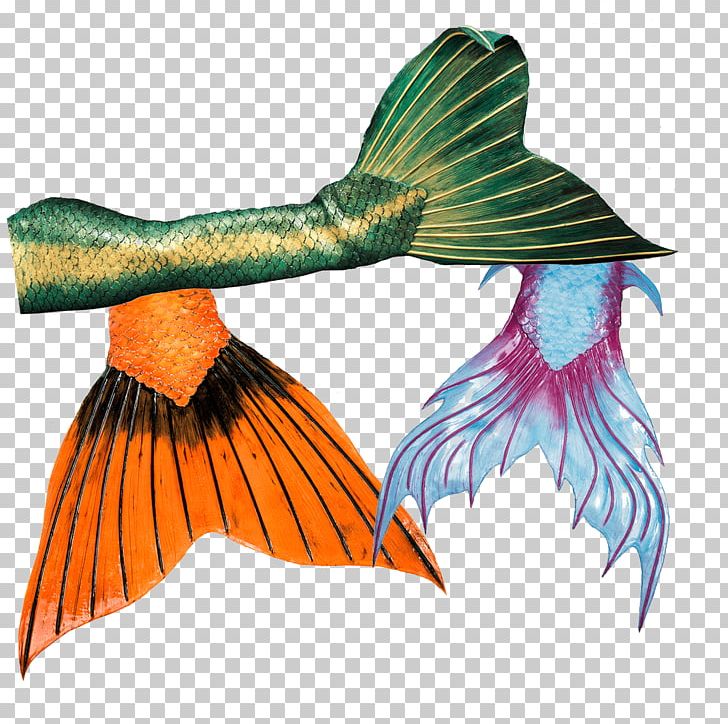 Mermaid Merman Tail Ariel PNG, Clipart, Ariel, Beak, Bird, Fantasy, Fauna Free PNG Download