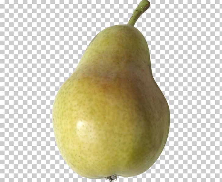 Asian Pear Fruit Salad PNG, Clipart, Apple, Armut, Armut Resimleri, Asian Pear, Computer Icons Free PNG Download