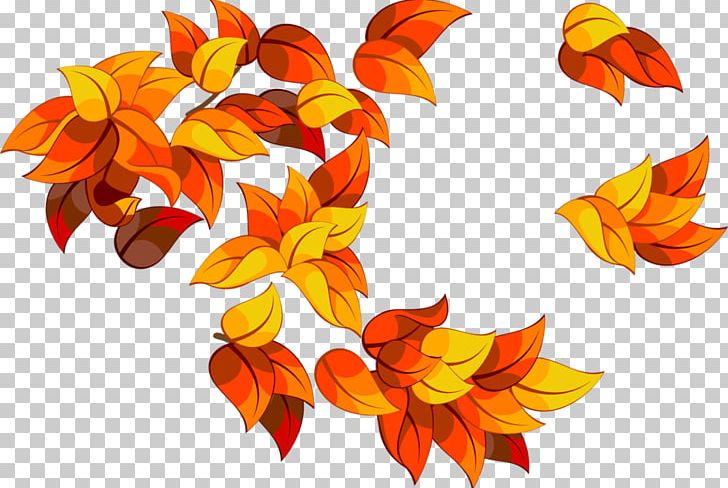 Leaf Presentation Cut Flowers Digital PNG, Clipart, Cut Flowers, Digital Image, Drawing, Floral Design, Flower Free PNG Download