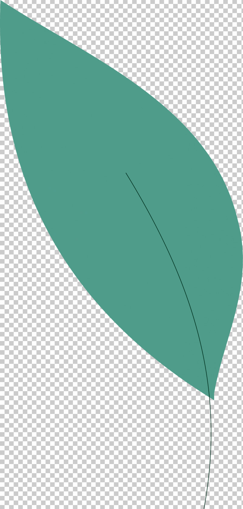 Leaf PNG, Clipart, Angle, Biology, Green, Leaf, Line Free PNG Download