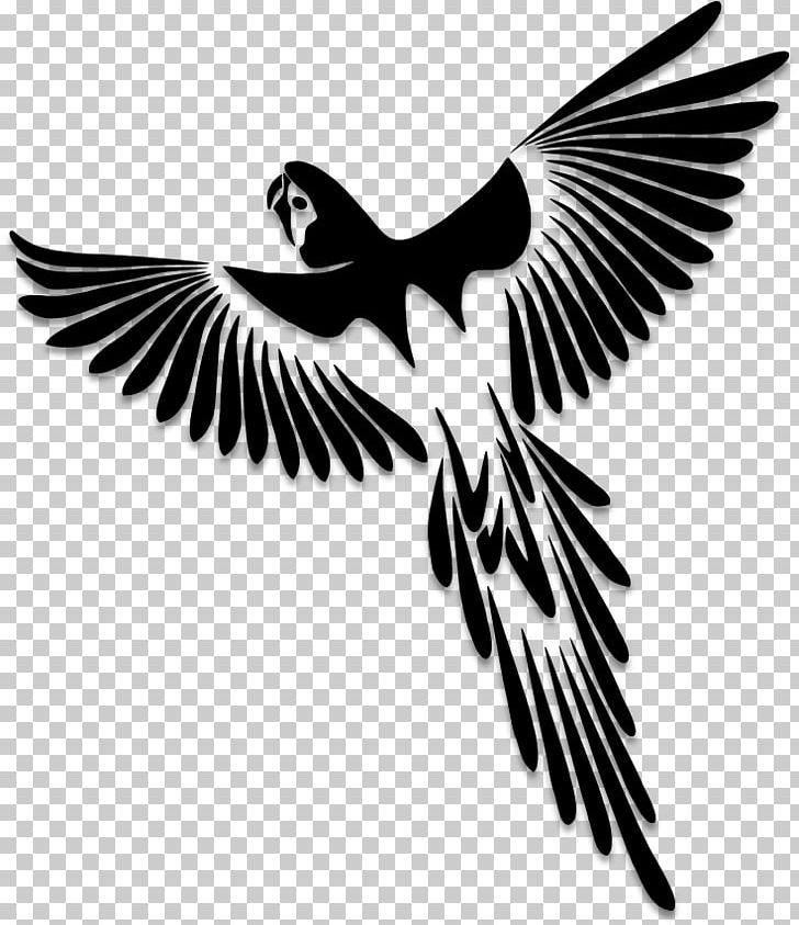 Parrot Bird Tattoo Drawing Macaw PNG, Clipart, Abziehtattoo, Animals, Art, Beak, Bird Free PNG Download