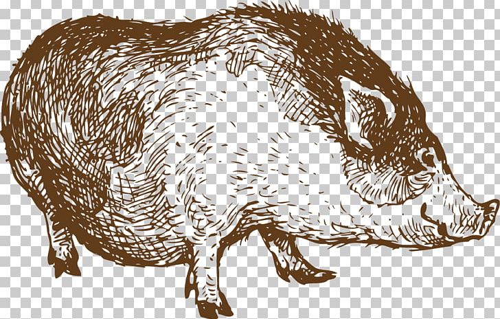 Sheep Lamb And Mutton Drawing Line Art PNG, Clipart, Animals, Arrow Sketch, Border Sketch, Domestic Pig, Encapsulated Postscript Free PNG Download