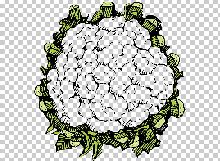Drawing Vegetable PNG, Clipart, Artwork, Cauliflower, Chou Chou, Circle, Computer Icons Free PNG Download
