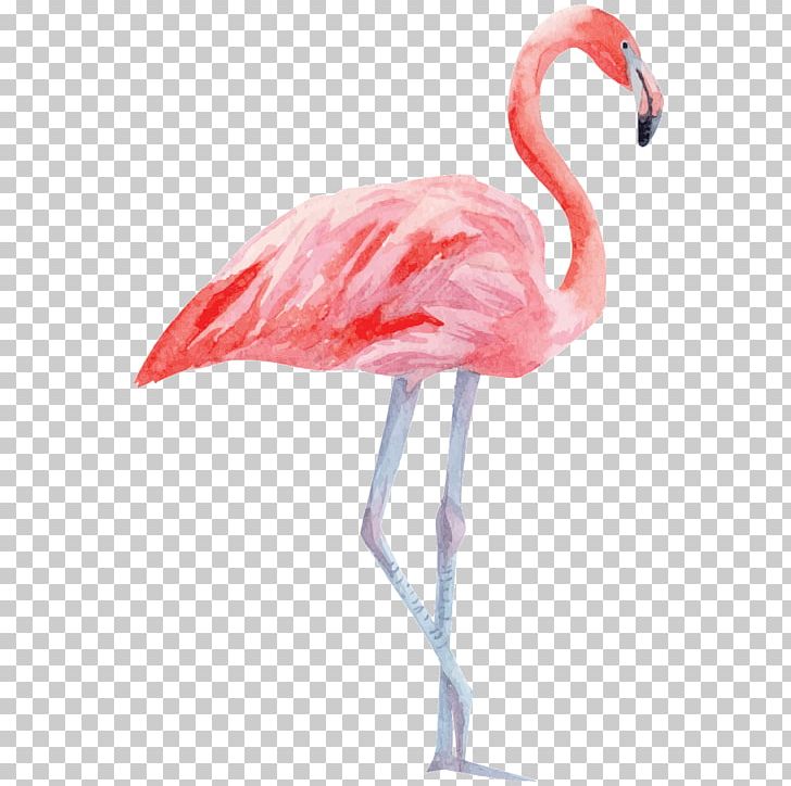 Bird Greater Flamingo Paper Palm Branch PNG, Clipart, Animals, Beak, Bird, Flamingo, Flamingos Free PNG Download