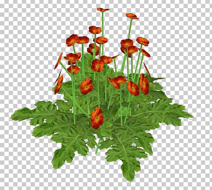 Chrysanthemum Floral Design Cut Flowers Flowerpot PNG, Clipart,  Free PNG Download