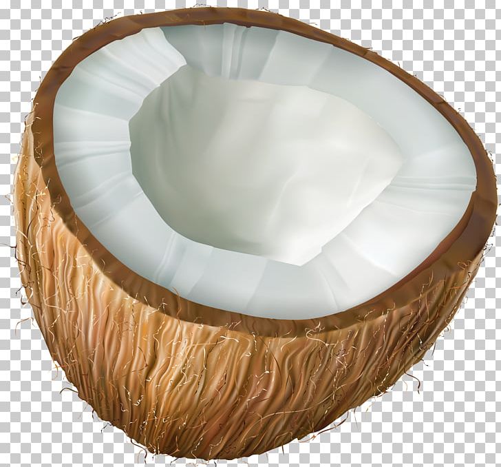Coconut PNG, Clipart, Blog, Clipart, Clip Art, Coconut, Download Free PNG Download