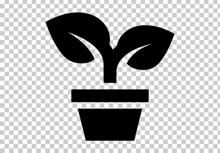 Computer Icons Plant Tree Evergreen PNG, Clipart, Black And White, Coconut, Computer Icons, Evergreen, Fir Free PNG Download